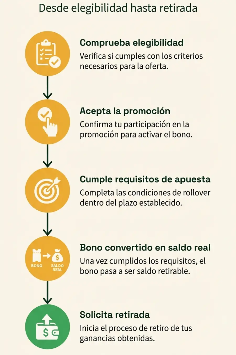 Infografía: ciclo de vida de una promoción